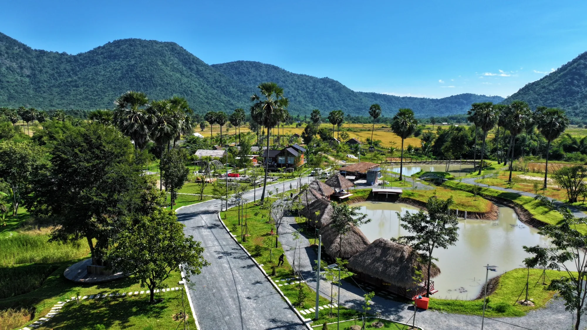 ROSAT landscape